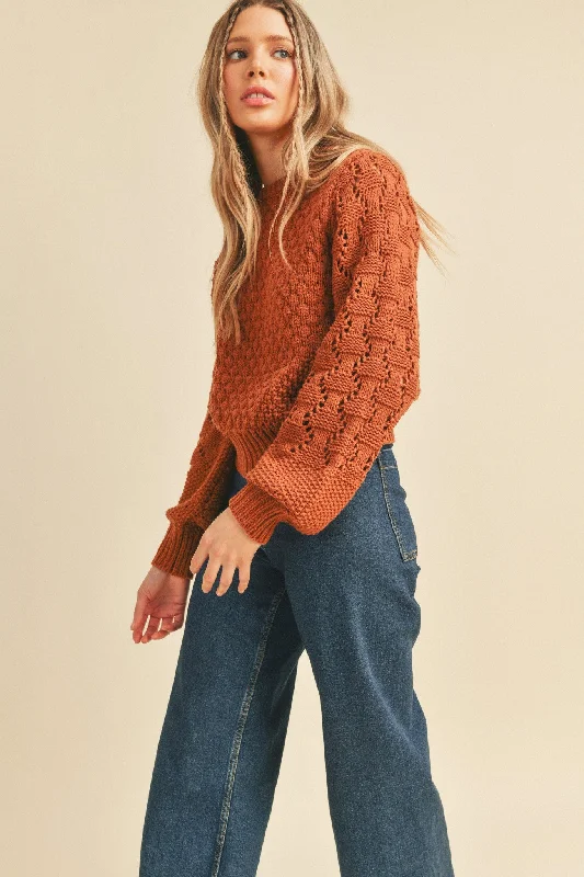 One - Shoulder Sweaters for Asymmetric Design -Brick Brown Mixed Pointelle Puff Sleeve Sweater