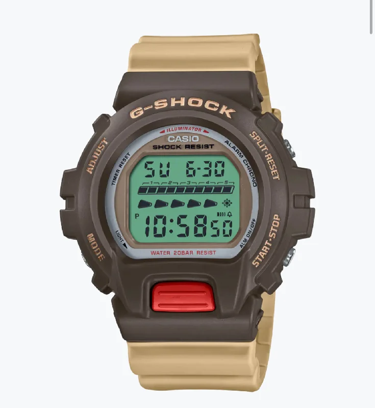 Best necklaces and pendants with gemstone clusters for a bold and colorful effect-G SHOCK-DIGITAL DW-6600 SERIES DW6600PC-5